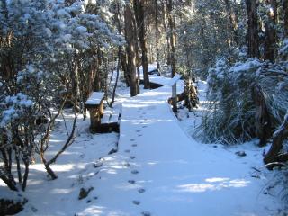Image of Goblin Walk after snowfall
